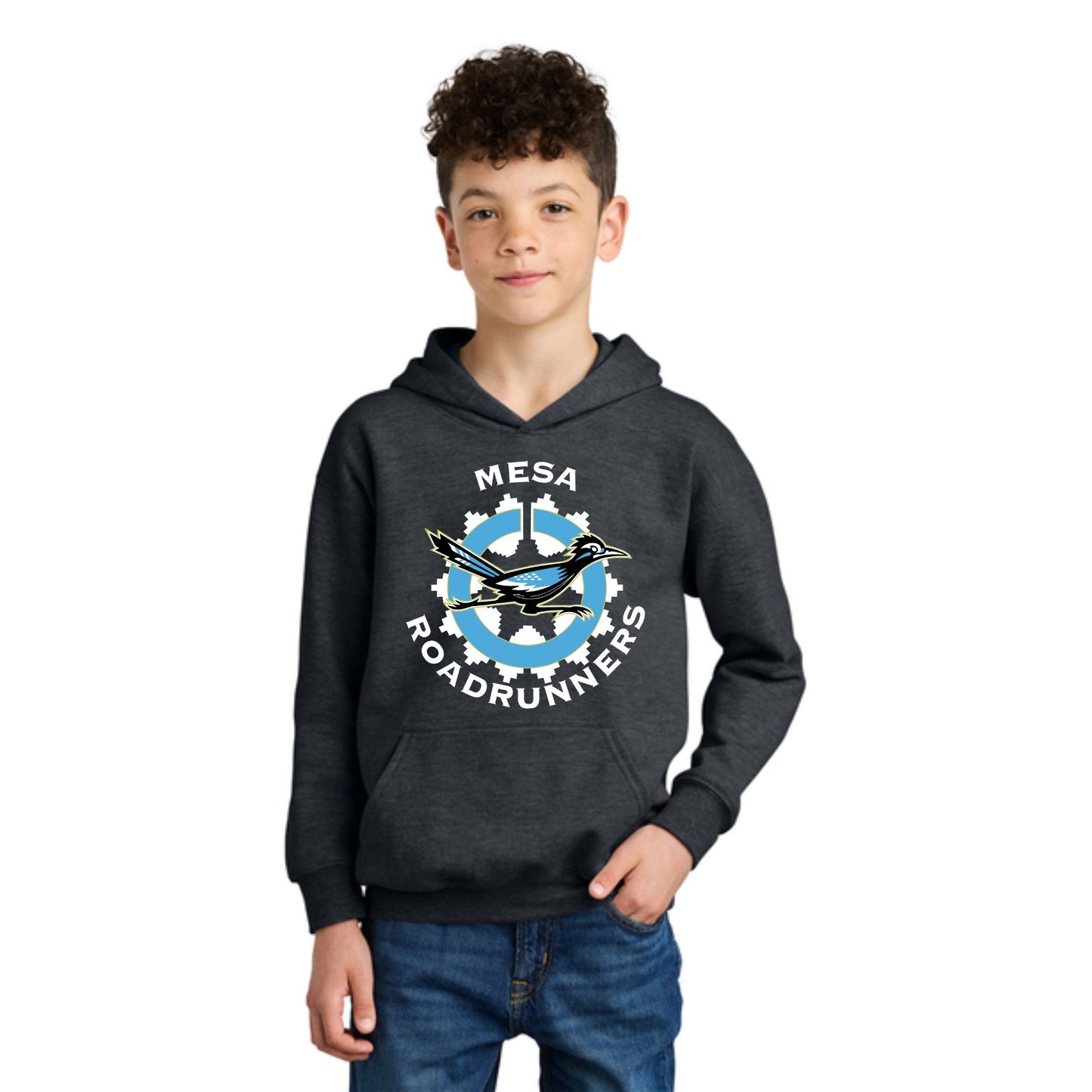 Youth Mesa Roadrunners Hoodie