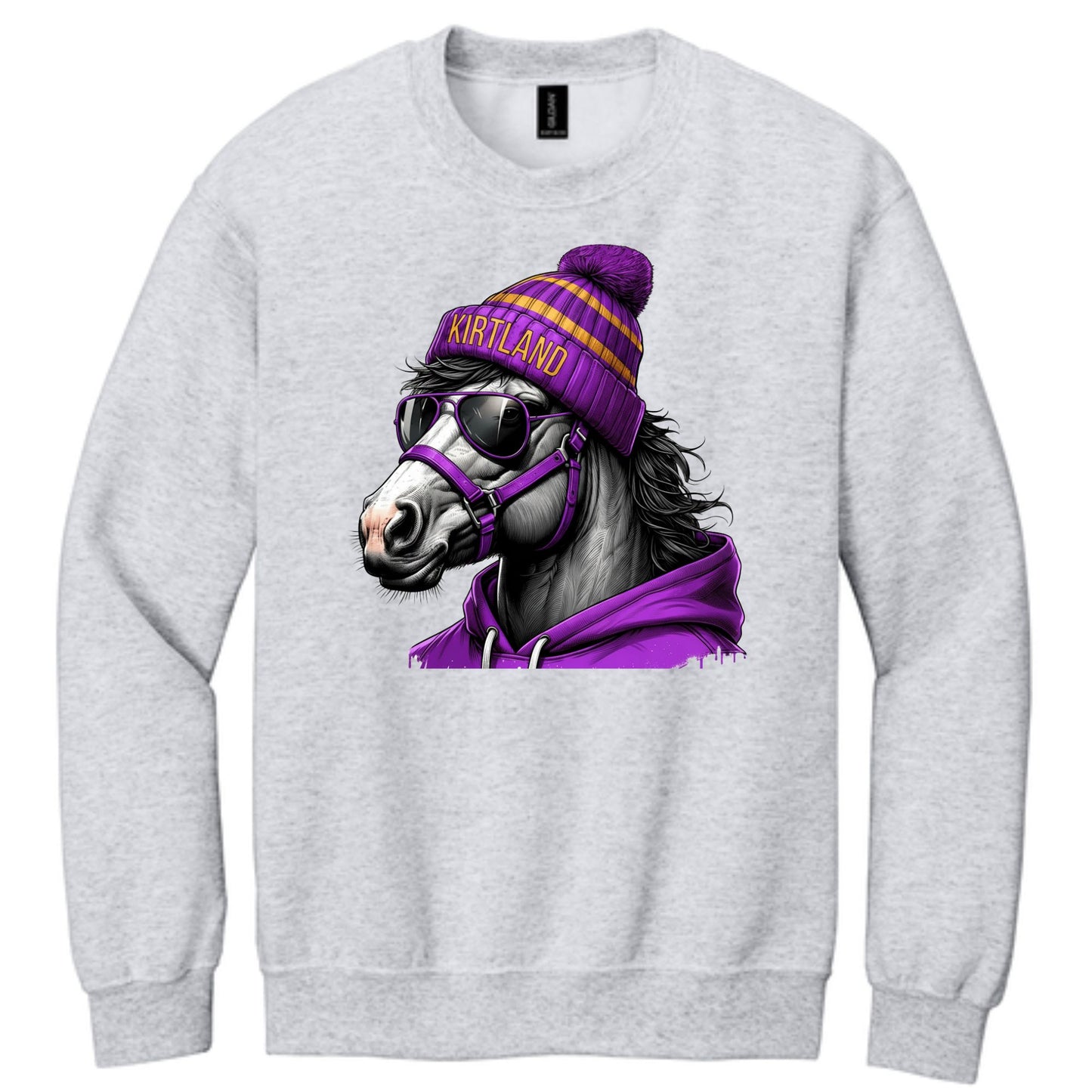 Game Day Bronco Crewneck