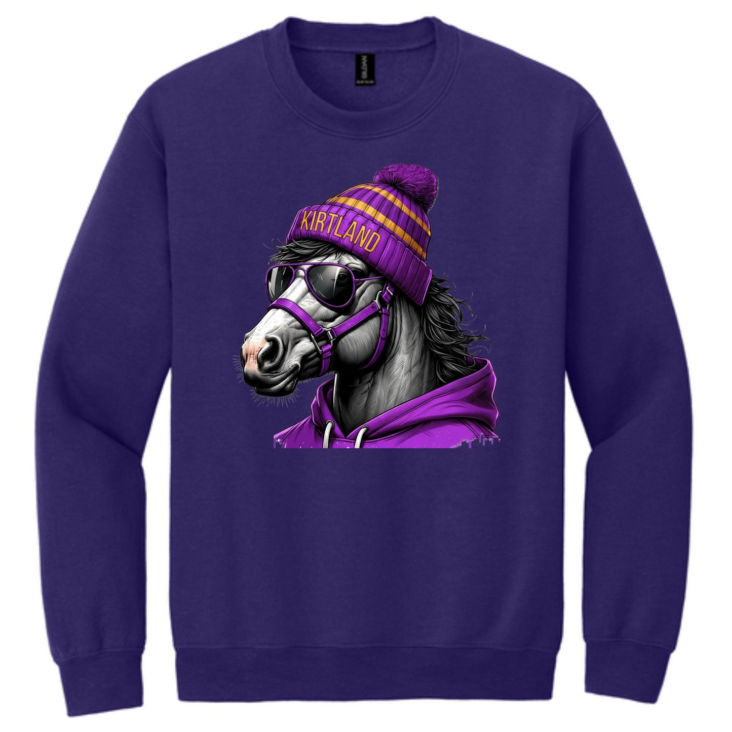 Game Day Bronco Crewneck
