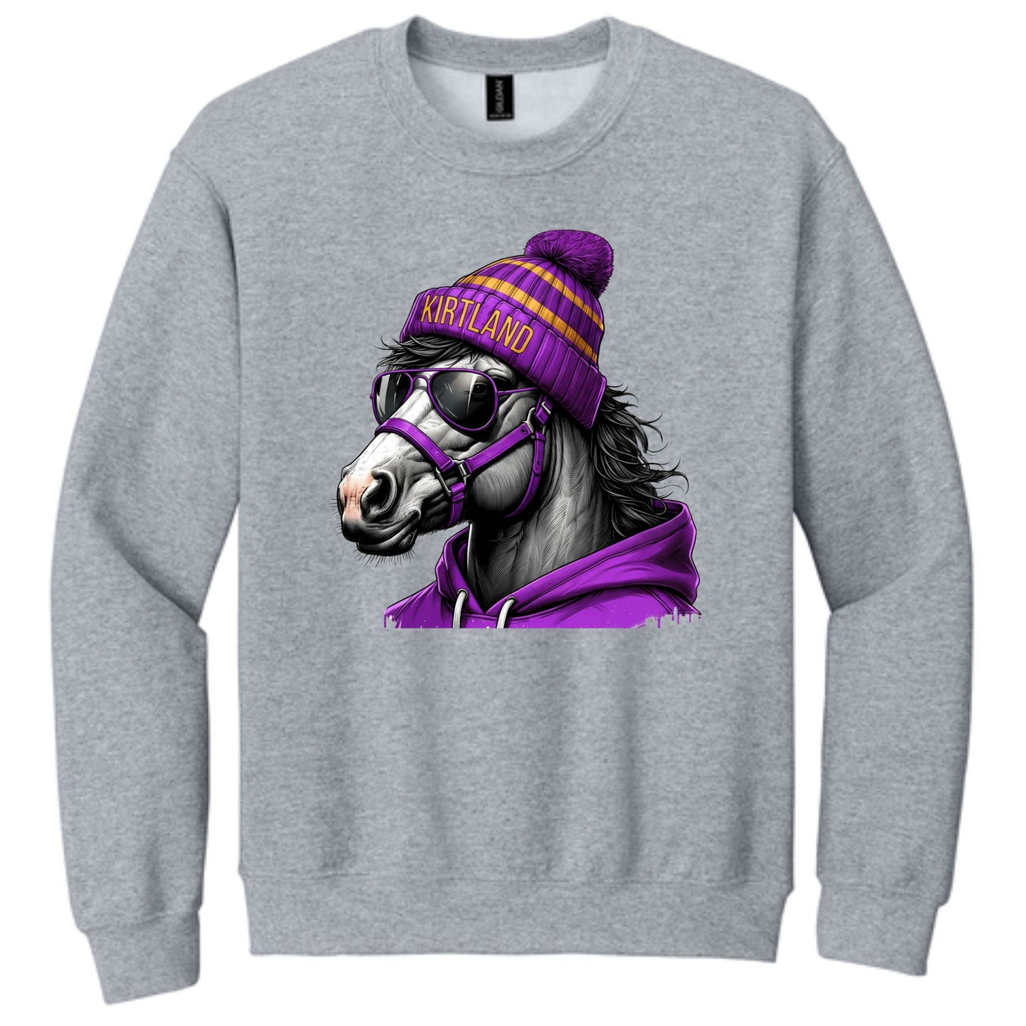 Game Day Bronco Crewneck
