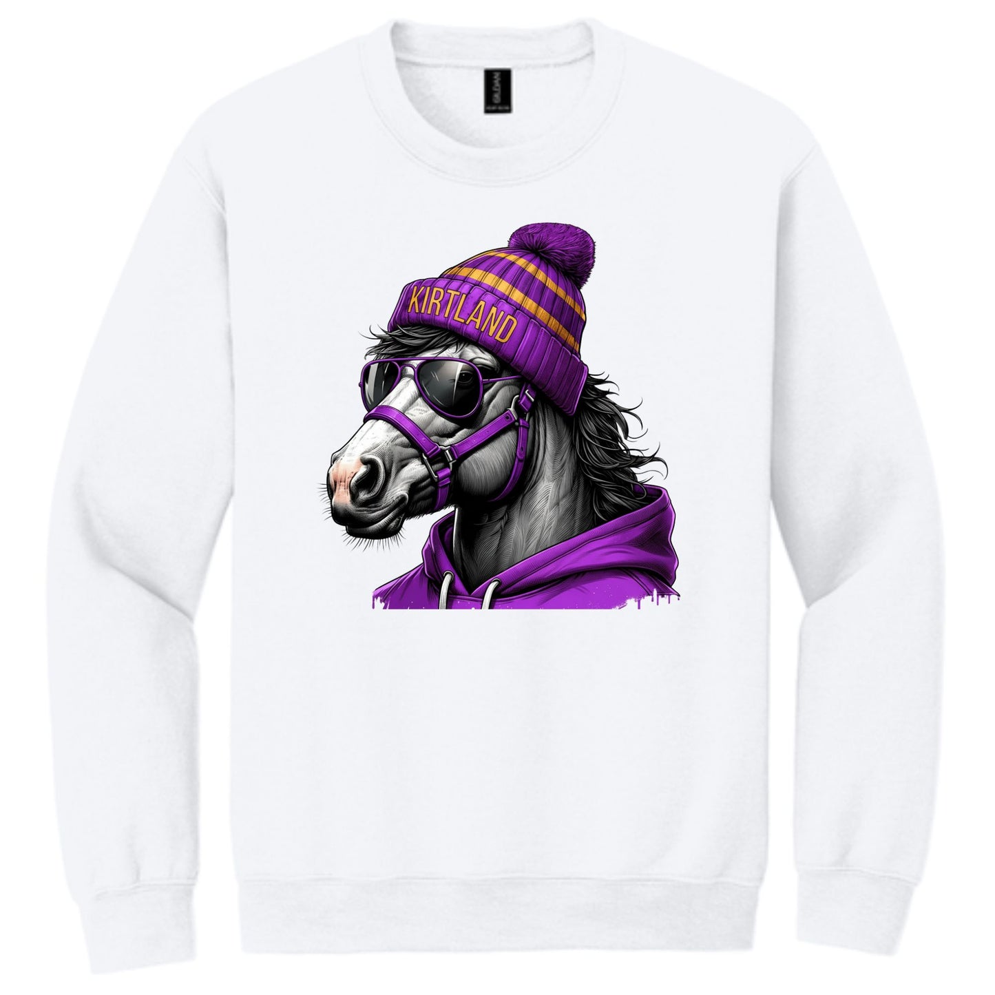 Game Day Bronco Crewneck