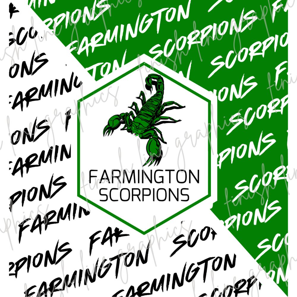 Graffiti Farmington Scorpions