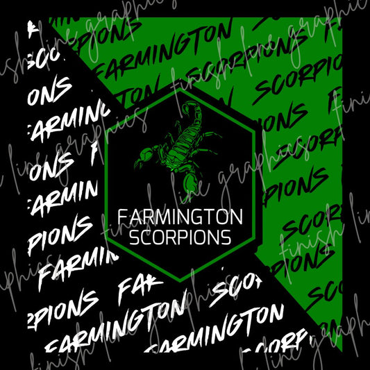 Graffiti Farmington Scorpions