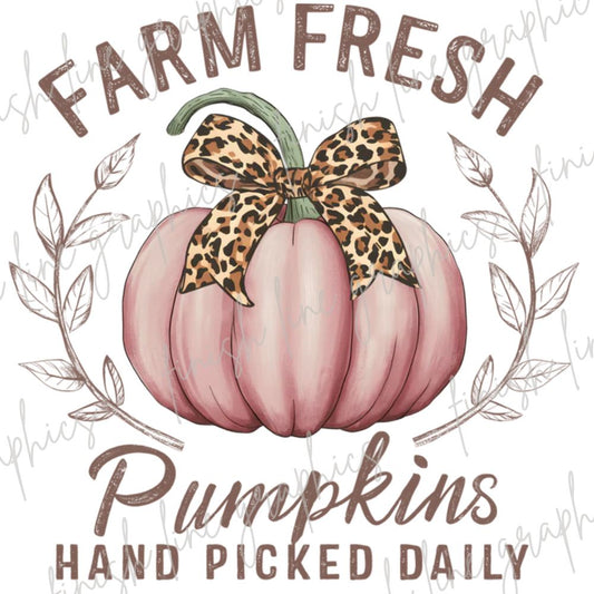 Pumpkins Picked Daily Pink
