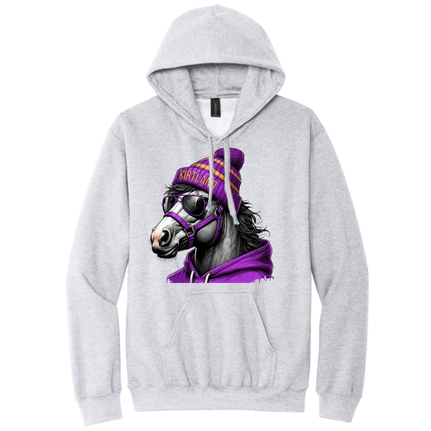 Game Day Bronco Hoodie