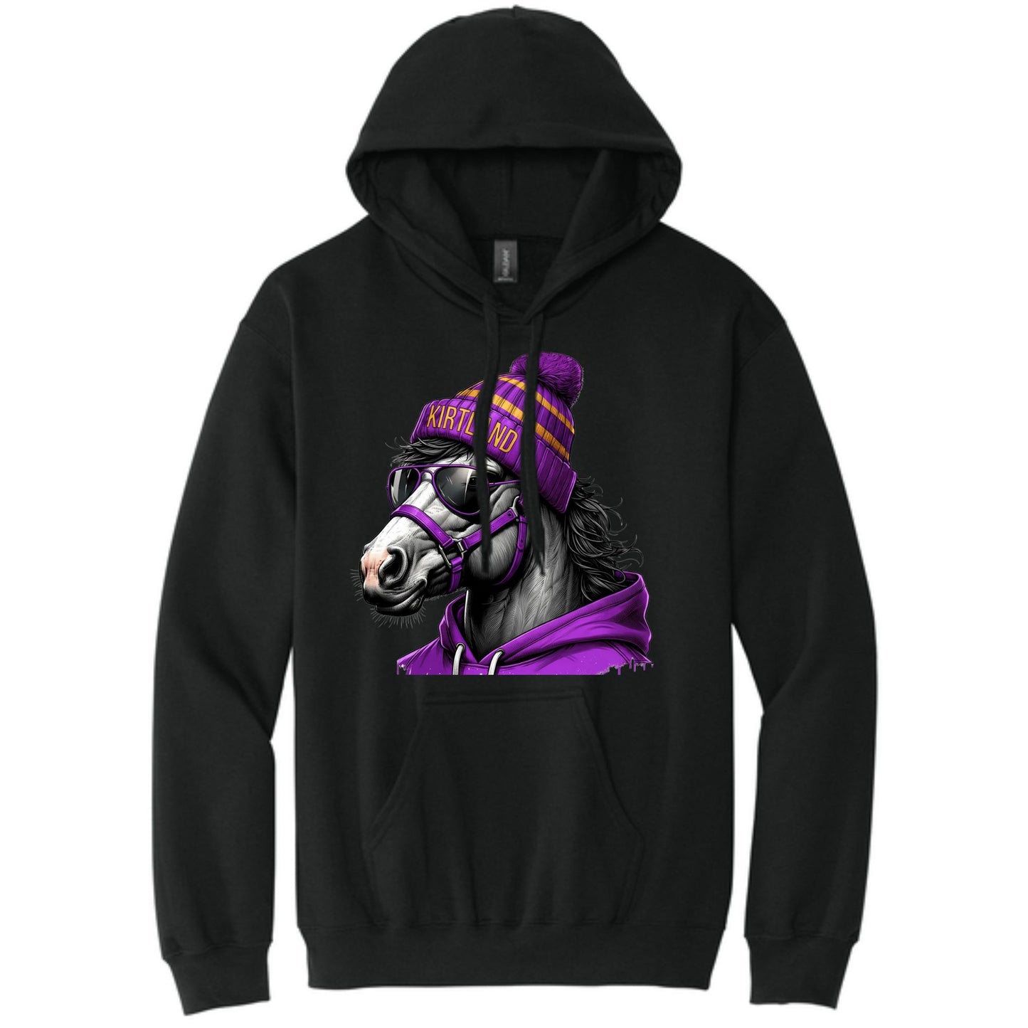 Game Day Bronco Hoodie