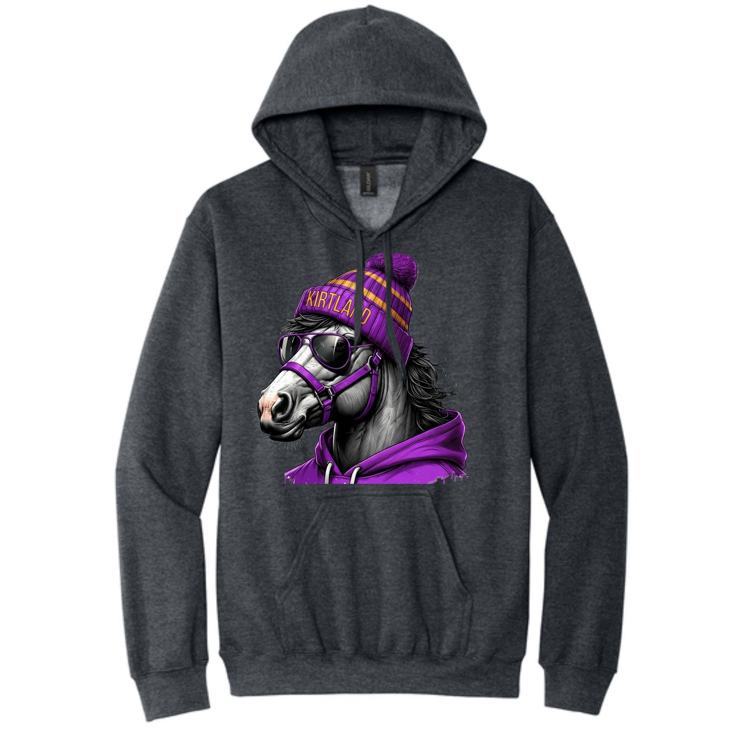 Game Day Bronco Hoodie