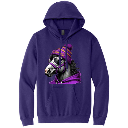 Game Day Bronco Hoodie