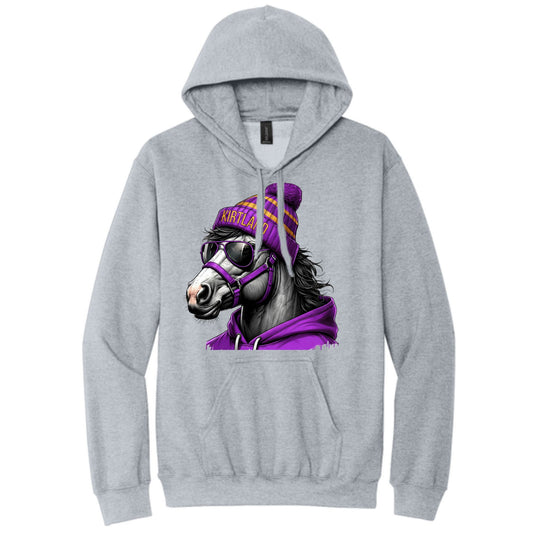 Game Day Bronco Hoodie