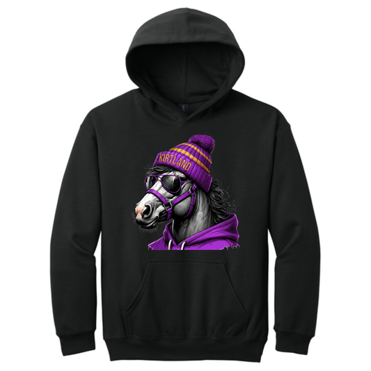 Youth Game Day Bronco Hoodie